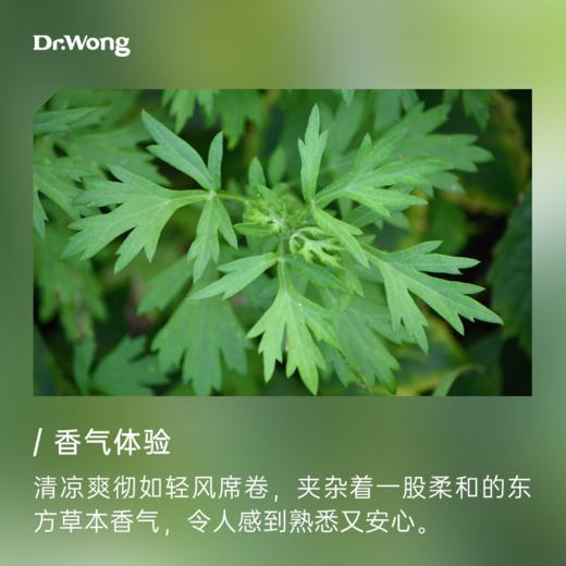 艾草精油 5ml 商品图1