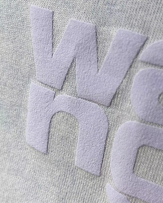 现货  THS 4.13-无 大王家 女士 侧边字母wang印花T恤 常规款做旧水洗T恤 2色 BH2496 商品图11