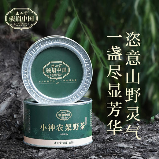 正山堂巴东红 小神农架野茶 特级红茶骏眉中国湖北巴东茶叶罐装50g 商品图0