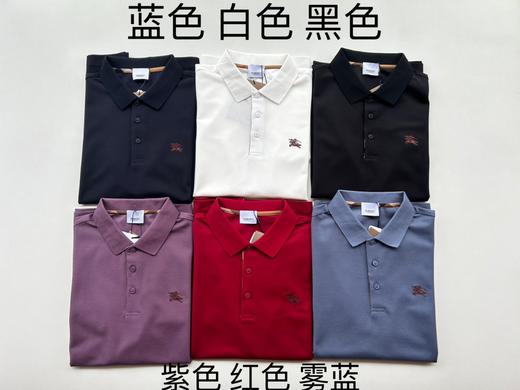 bur男士款战马刺绣纯棉Polo衫 商品图10