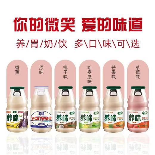 养胃牛奶220g玻璃瓶果味乳酸菌酸奶（整提15瓶）【FY】 商品图1