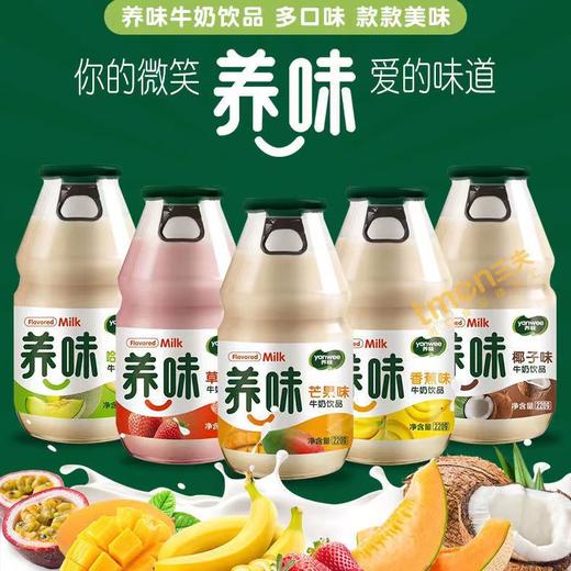 养胃牛奶220g玻璃瓶果味乳酸菌酸奶（整提15瓶）【FY】 商品图0