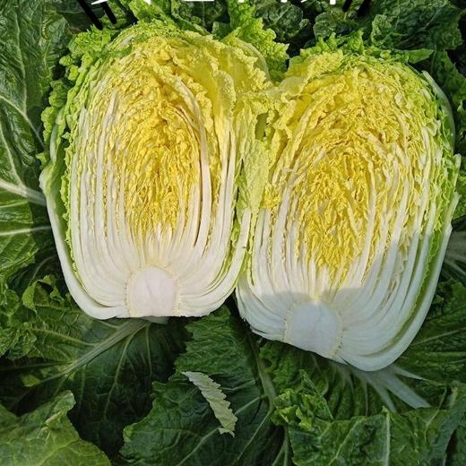 【洞藏酸菜】这可是东北菜系的“头牌”呢！来自大山深处，用做酸奶的工艺制作，新式乳酸菌发酵，0添加，无亚硝酸盐，好吃又健康！ 商品图5