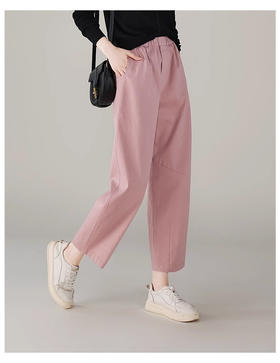 裁缝学苑AS227新款显瘦高腰通勤九分裤子哈伦萝卜裤纸样女装打板