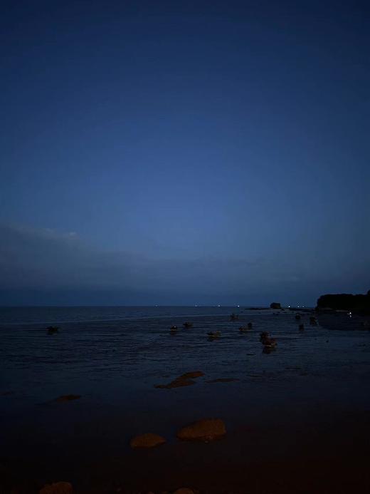 测试商品，勿拍！ 商品图0