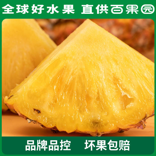 【会员日限量抢购】PAGODA百果园 A级-金钻凤梨（中）3粒彩箱装 商品图0