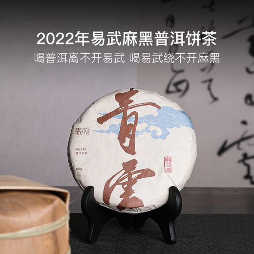 标杆易武味 2022年麻黑普洱200g饼茶 商品图0