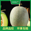 PAGODA百果园 网纹瓜（大）2-3粒普通装（4.5-5斤） 商品缩略图3