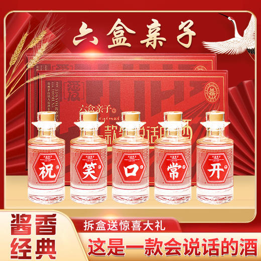 六盒亲子一款会说话的酒 酱香型53度茅台镇粮食酒 100ml*5盒 商品图0