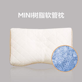 日本西川 进口新树脂软管枕