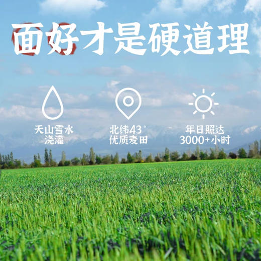 新疆雪晶面粉 商品图3