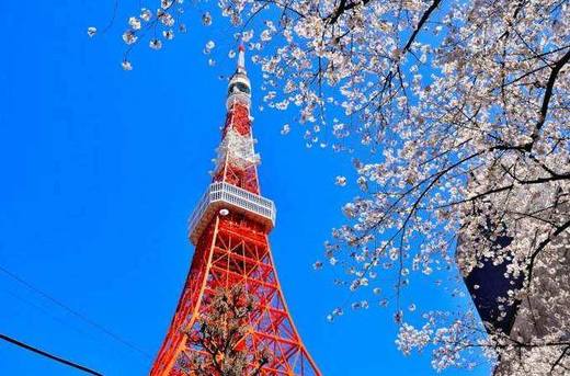 【四大名城】含机票日本本州东京大阪富士山镰仓江之电日式温泉7天6晚跟团游 商品图3