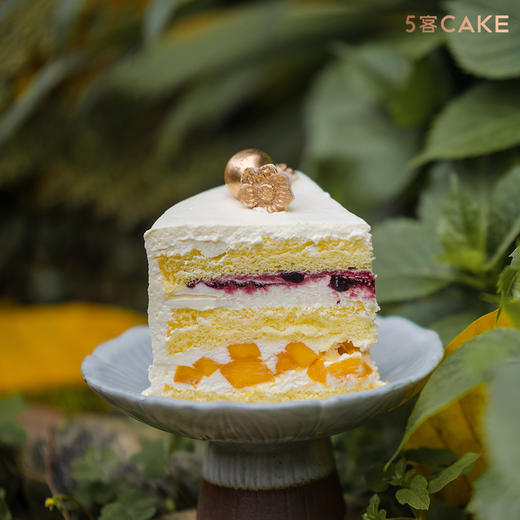 【南山献颂】水果动物奶油 商品图2