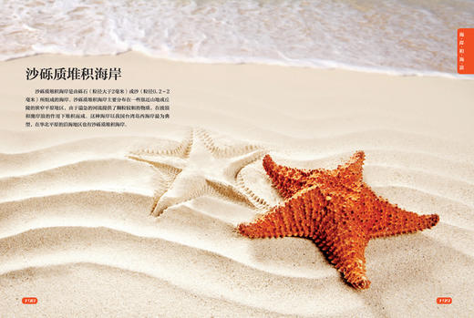海洋世界的奥秘 商品图4