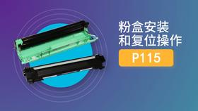 P115安装复位