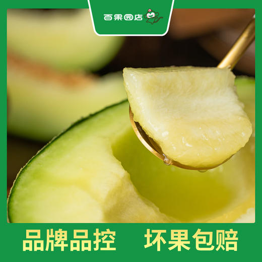 PAGODA百果园 A级-翡翠蜜瓜（大）2粒彩箱装（4.5-5斤） 商品图0