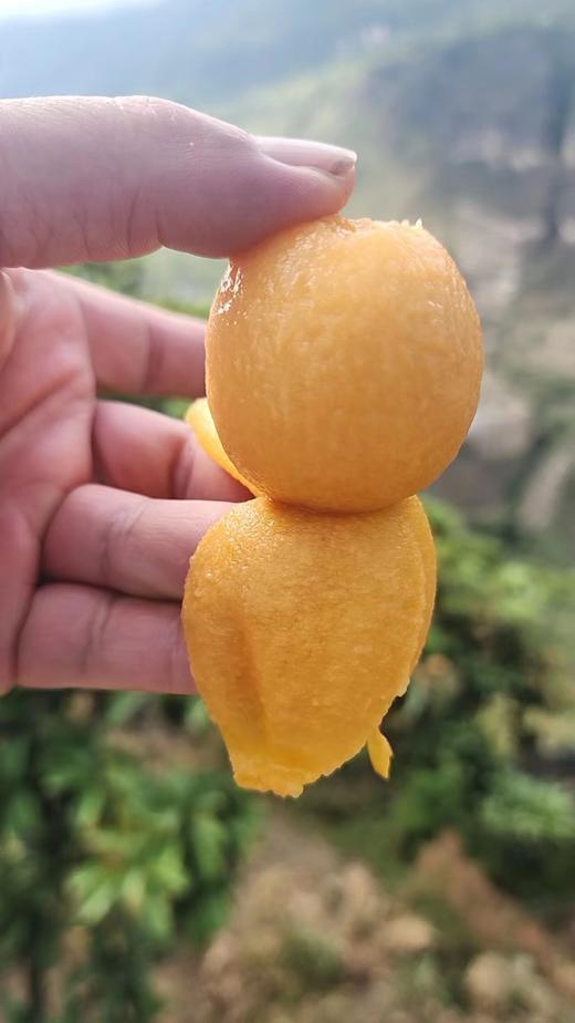 冰糖枇杷，柔软多汁，肉厚核小，甜润爆表的枇杷 商品图1