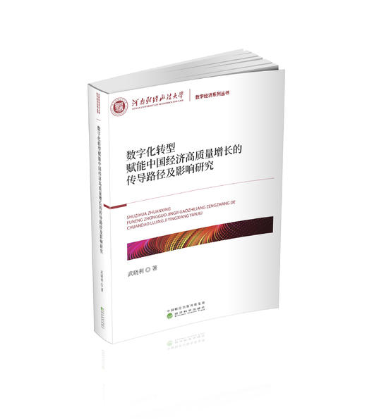 数字化转型赋能中国经济高质量增长的传导路径及影响研究 商品图0