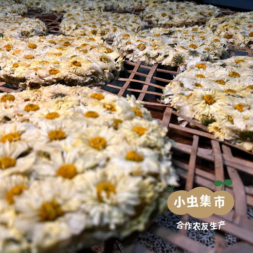 生态杭白菊茶 | 合作农友生产，产自浙江桐乡，生产者：梅玉惠 于建刚 &【公平贸易农人定价】 商品图13