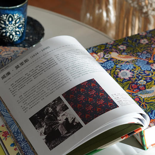 世界花纹与图案大典 商品图4