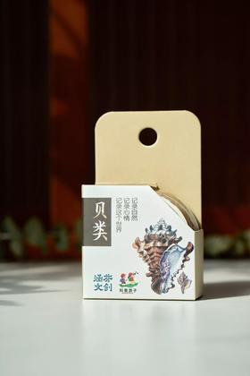 科普胶带——贝壳