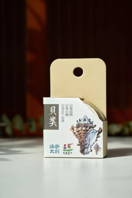 科普胶带——贝壳 商品图0