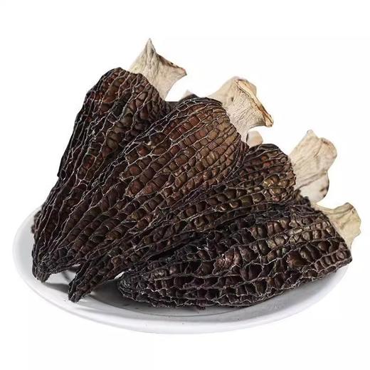 【新鲜云南特产】 羊肚菌干货 农家菌菇 蘑菇菌类干 商品图5