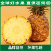 【会员日限量抢购】PAGODA百果园 A级-金钻凤梨（中）3粒彩箱装 商品缩略图2