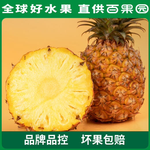 【会员日限量抢购】PAGODA百果园 A级-金钻凤梨（中）3粒彩箱装 商品图2