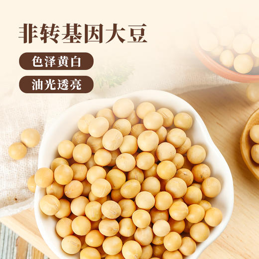 【华中】安徽徽王腐竹200g/袋*2 商品图4