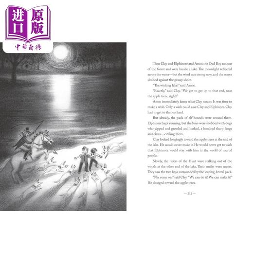【中商原版】纽伯瑞 精灵狗和猫头鹰头2024 Elf Dog and Owl Head 英文原版 儿童插图故事小说 儿童文学读物 精装 进口童书 商品图3