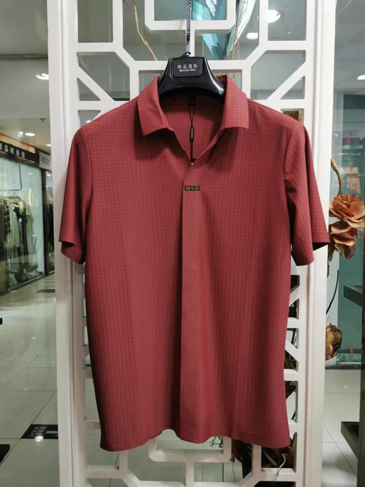 T51桔红T恤 商品图0