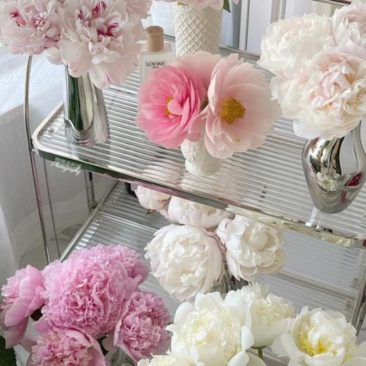 随机芍药丨买一送一丨到手10支 商品图0