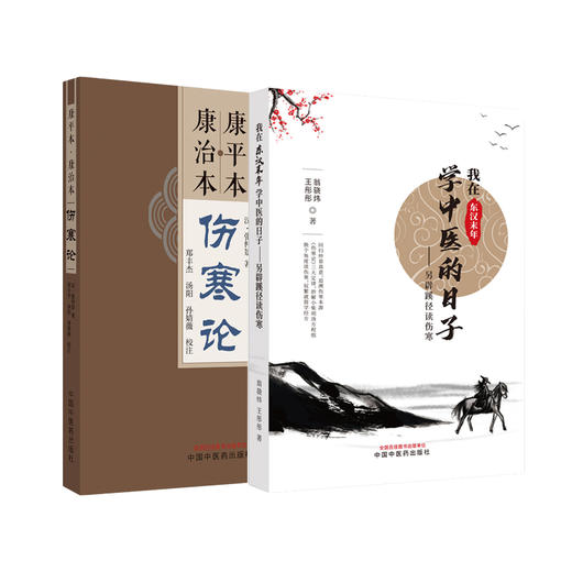 全2册 我在东汉末年学中医的日子 另辟蹊径读伤寒+康平本康治本伤寒论 中医古籍经典古本外感热病治疗规律 中国中医药出版社  商品图1