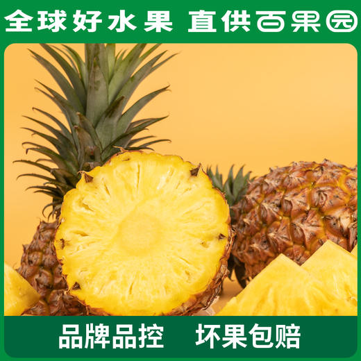 【会员日限量抢购】PAGODA百果园 A级-金钻凤梨（中）3粒彩箱装 商品图5