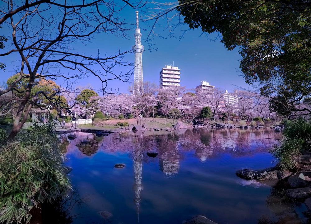 日本旅游 东京自由行畅玩东京6天