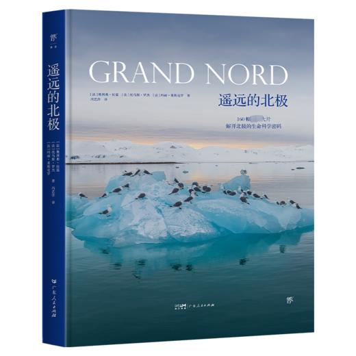 遥远的北极 商品图0