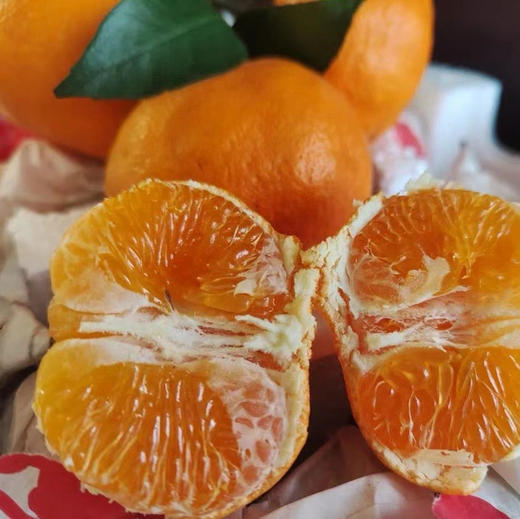 2026年一口爆汁的明日见，晚熟柑橘新贵新品 皮更薄 果肉细嫩 糖度更高 果味更浓郁 商品图1