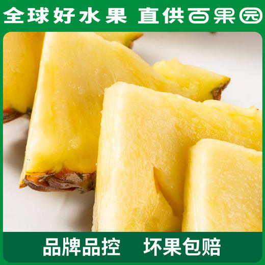 【会员日限量抢购】PAGODA百果园 A级-金钻凤梨（中）3粒彩箱装 商品图3
