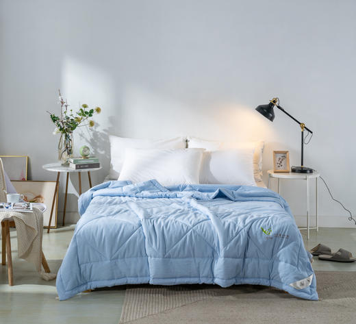 【远梦】大豆亲肤夏凉被 商品图2