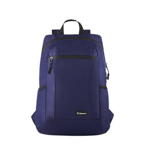 罗兰紫色预售月底发货 Diplomat外交官户外 便携折叠背包DFJ-801