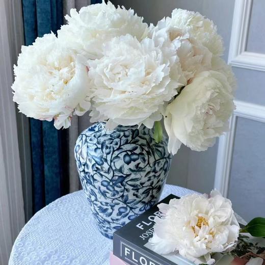 芍药丨奶油碗 商品图3