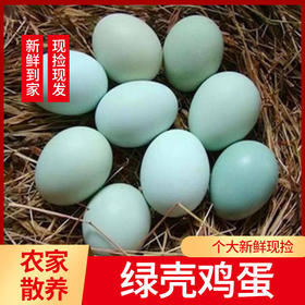 【农家散养！现捡现发绿壳鸡蛋】品质鸡蛋，营养丰富，健康好吃！新鲜乌鸡土鸡蛋月子蛋宝宝蛋柴草蛋