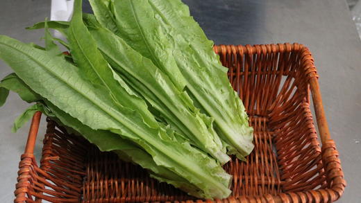 油麦菜（400g）现摘现发 商品图4