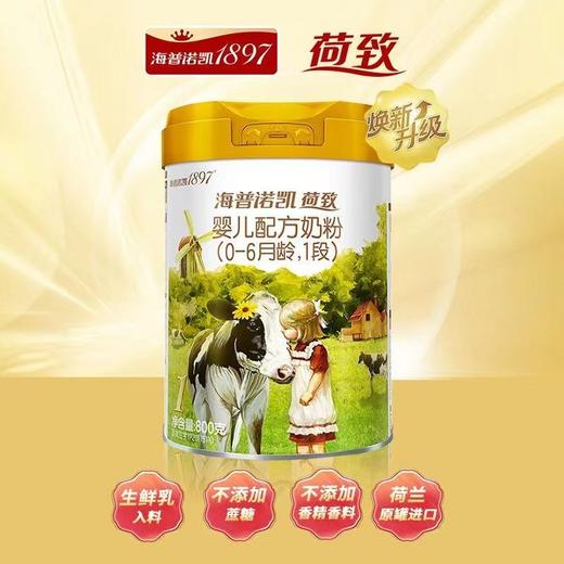 海普诺凯1897新国标系列1段/800g  26820866 商品图0