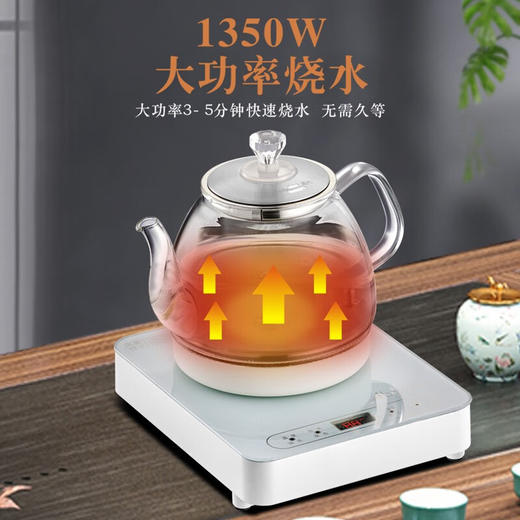艾贝丽（Abereve）电水壶  1350W大功率烧水壶ABL-B09 商品图4