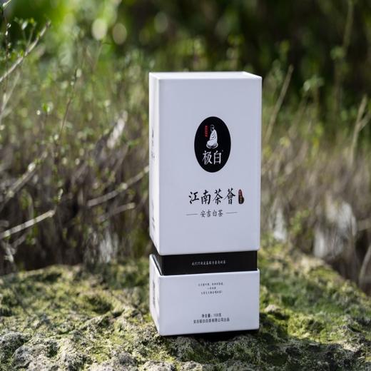 江南茶荟安吉白茶 商务礼盒装2024新茶绿茶 商品图0