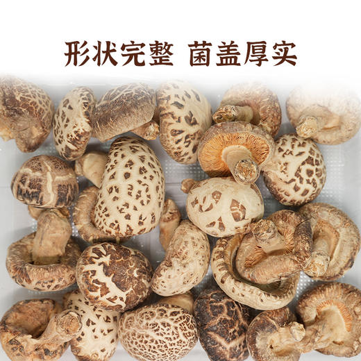 【华中】安徽徽王花菇300g/袋 商品图4