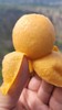 冰糖枇杷，柔软多汁，肉厚核小，甜润爆表的枇杷 商品缩略图3