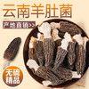【新鲜云南特产】 羊肚菌干货 农家菌菇 蘑菇菌类干 商品缩略图0